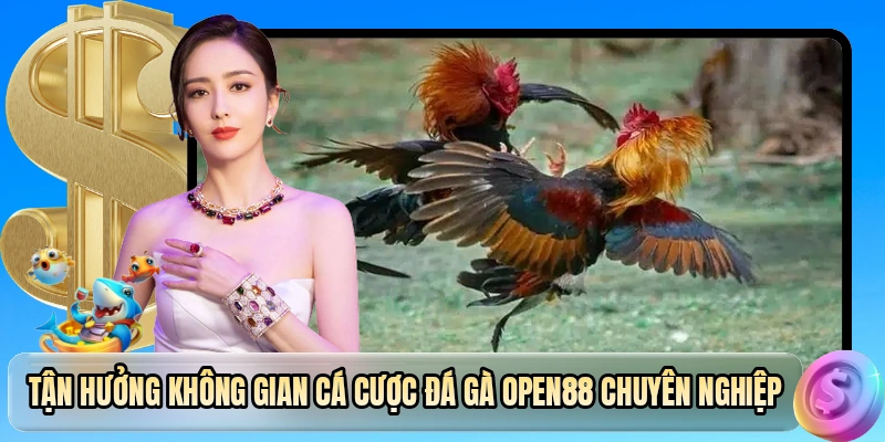 Tận hưởng không gian cá cược đá gà OPEN88 chuyên nghiệp
